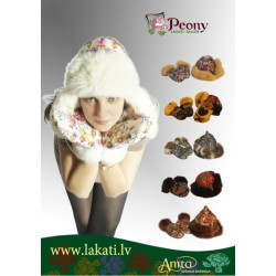 ceoure un dūraiņi ceoure un dūraiņi