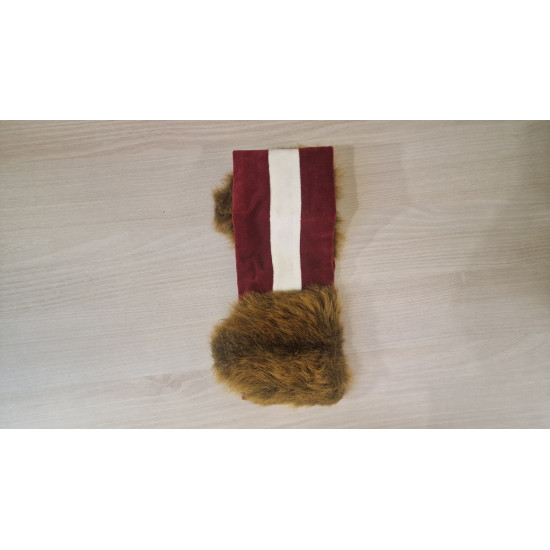 samta lāčausis galvas lenta