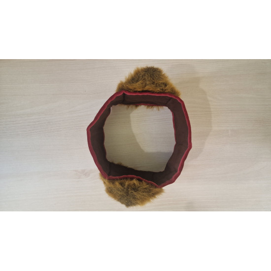 samta lāčausis galvas lenta