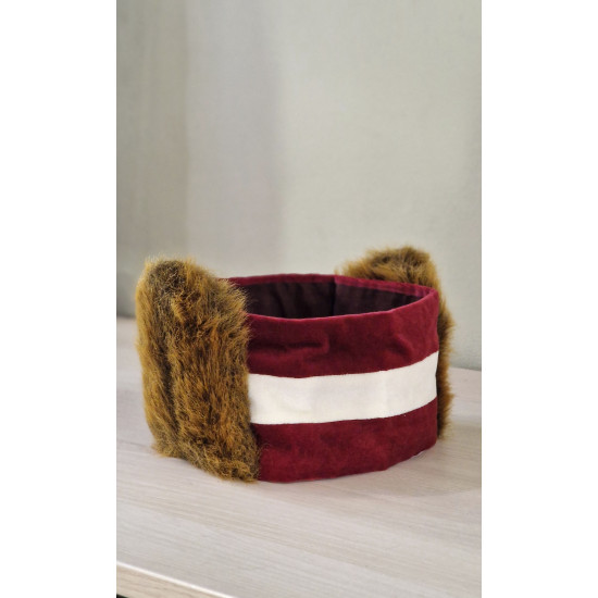 samta lāčausis galvas lenta