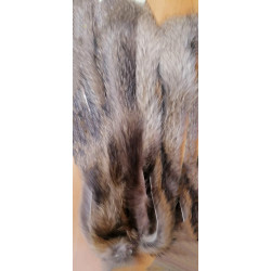 jenota kažokādas strēmele jenota kažokādas strēmele